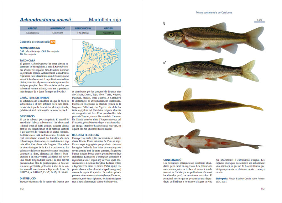 Página de muestra de Peixos continentals de Catalunya